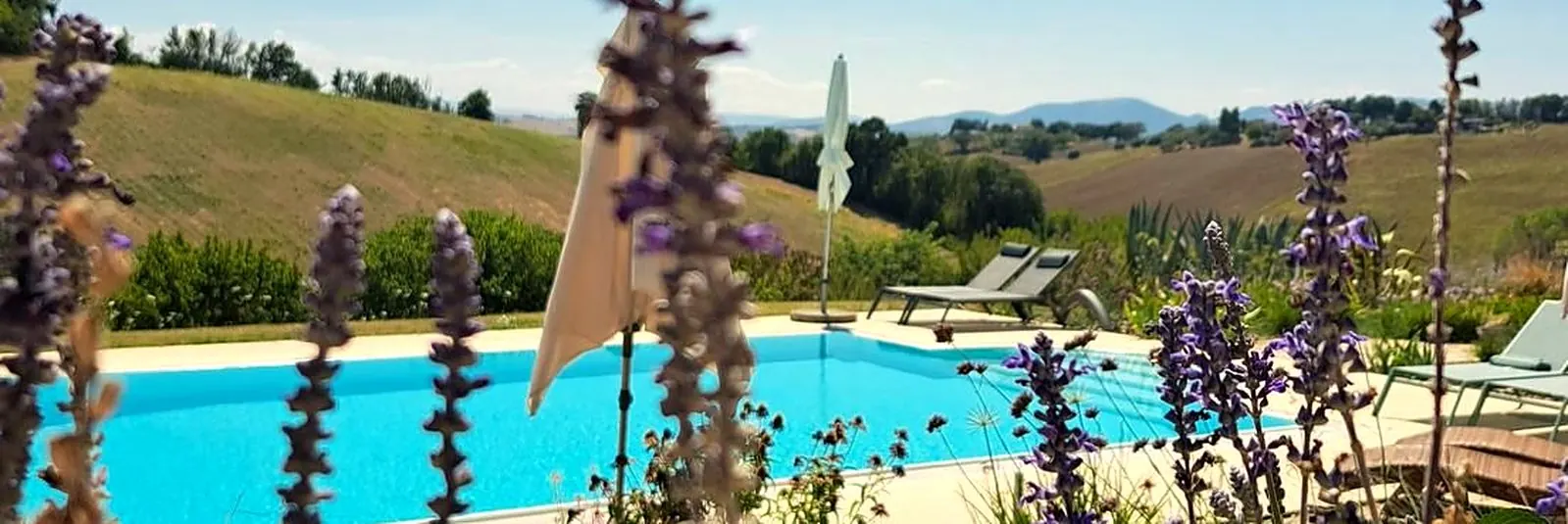 Villa pool among flowers and rolling hills in Le Marche, Italy