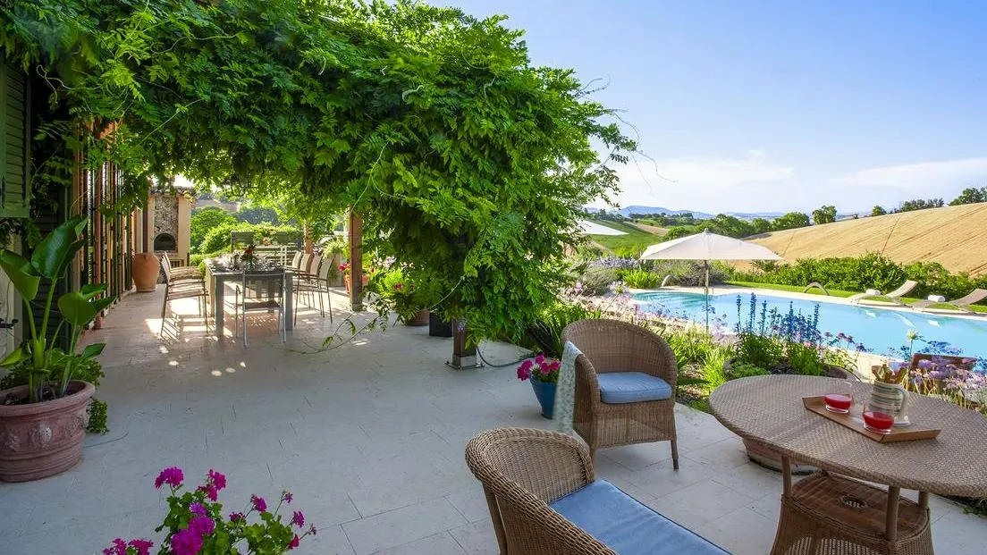 Terrace beneath the pergola, with the pool beyond