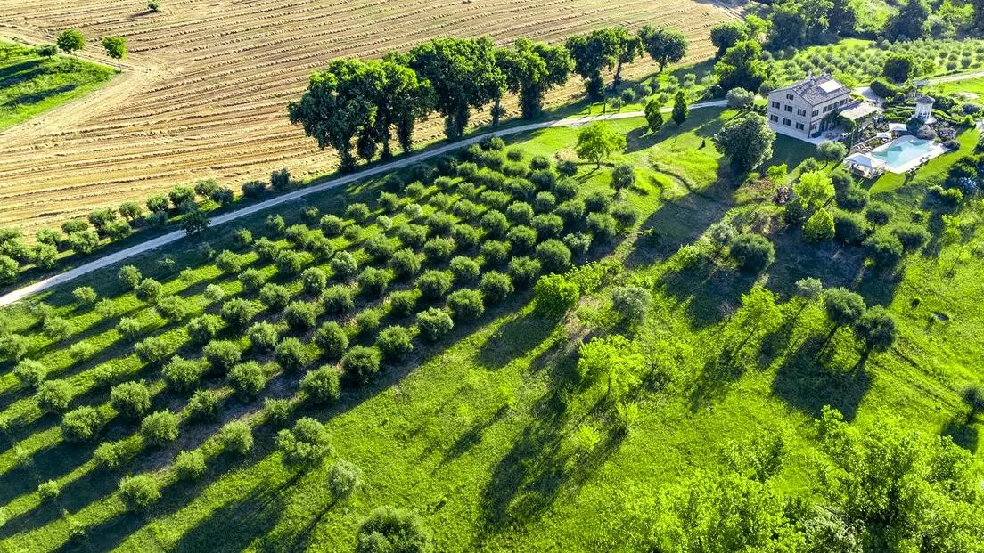 Aerial view of the estate